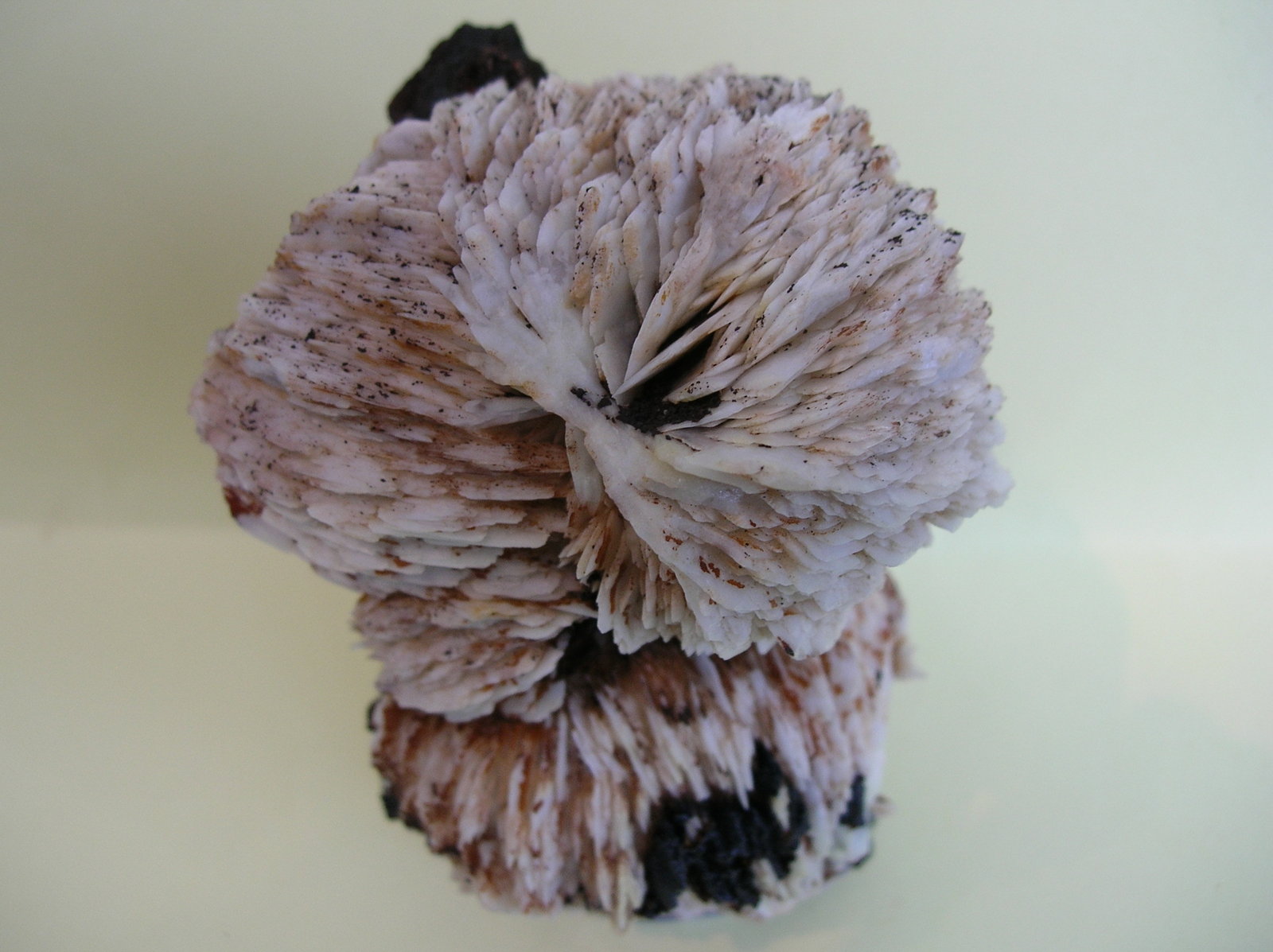 Baritina
10,5 x 7 cm
(Autor: Pedro Conesa)