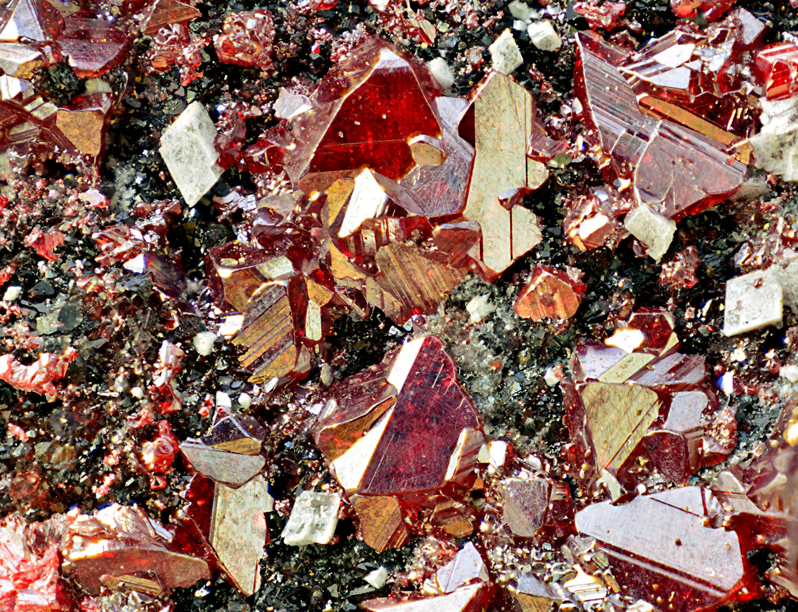 Cinabrio
Campo de visión de 10 mm
(Autor: Antonio Carmona)