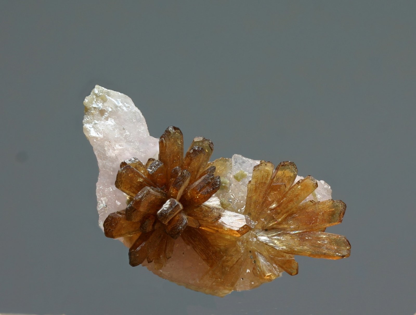 Eosforita
25x15 mm
(Autor: Ramon A  Lopez Garcia)