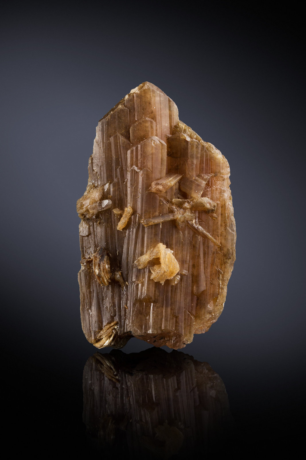 Eosforita [Eosphorite]
3 x 1.5 x 5.5 cm / cristal principal: 5.4 cm
(Autor: Museo MIM)