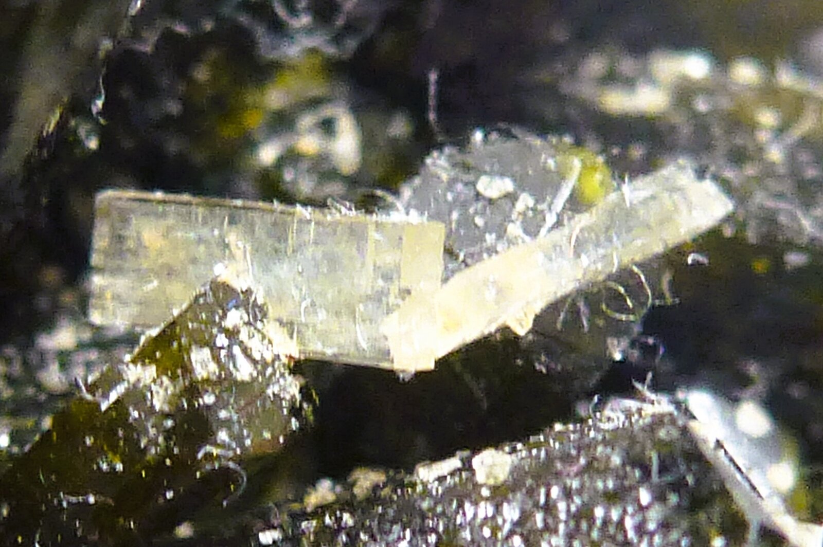 Estilbita-Ca sobre Epidota
Diaboukara, Commune Diakon, Arrondissement Diakon, Cercle Bafoulabé, Región Kayes, Mali
0,3 cm. largo del cristal.
(Autor: javier ruiz martin)