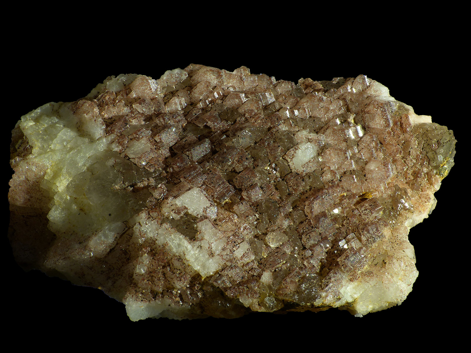 Albita
2 x 1,5 x 0,5 cm
(Autor: Javier Rodriguez)