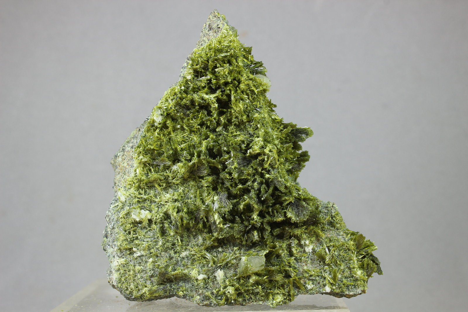 Epidota
70x55 mm
(Autor: Juan Espino)