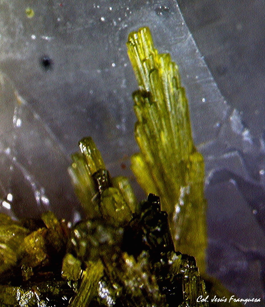 Epidota.
2´573 x 1´894 mm.
(Autor: Jesus Franquesa Baucells)