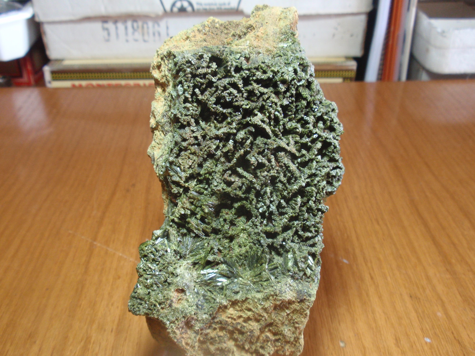 Epidota
70x140 mm
(Autor: Ignacio)