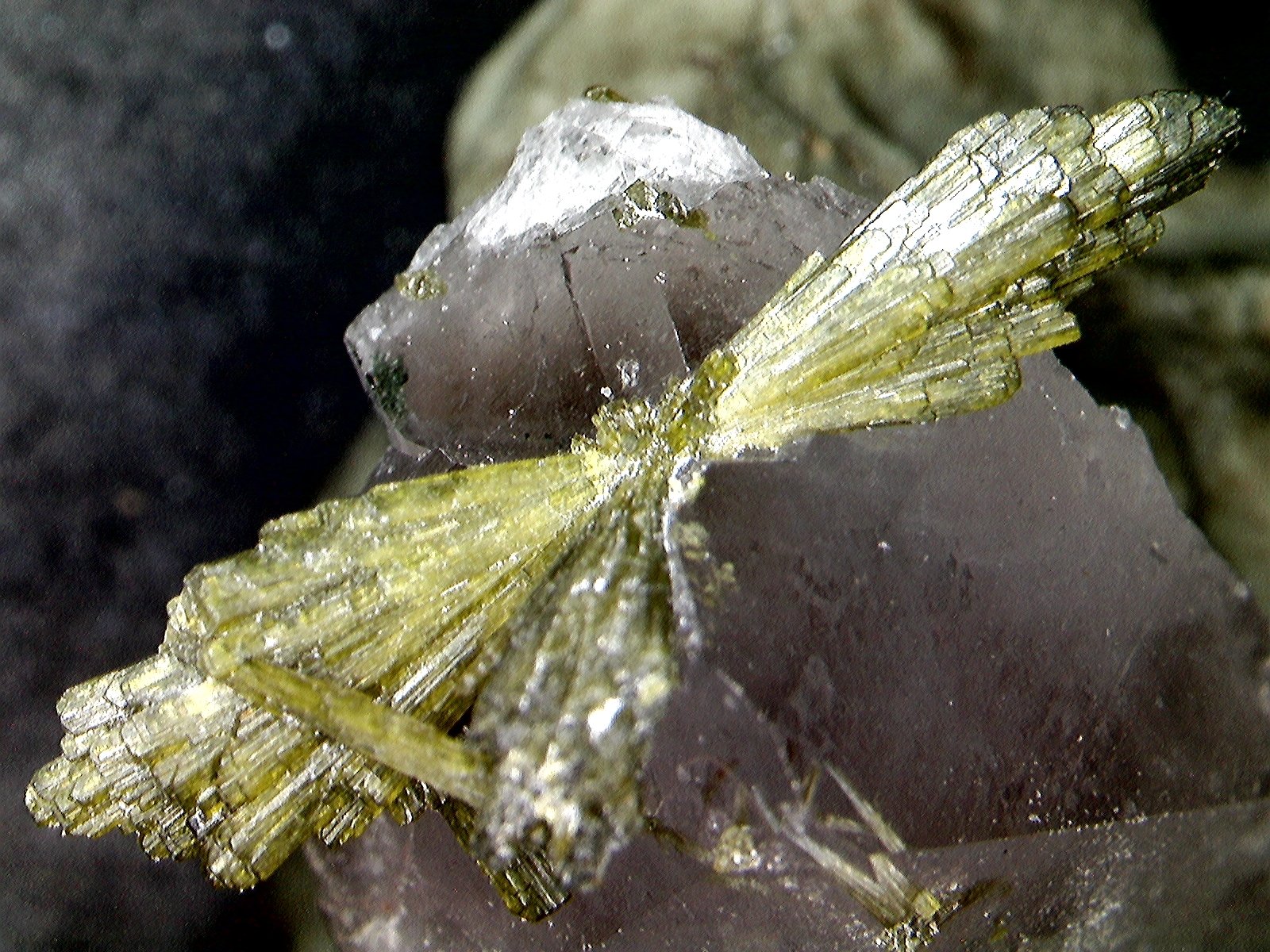 Epidota y Cuarzo.
8´361 x 4´886 mm.
(Autor: Jesus Franquesa Baucells)