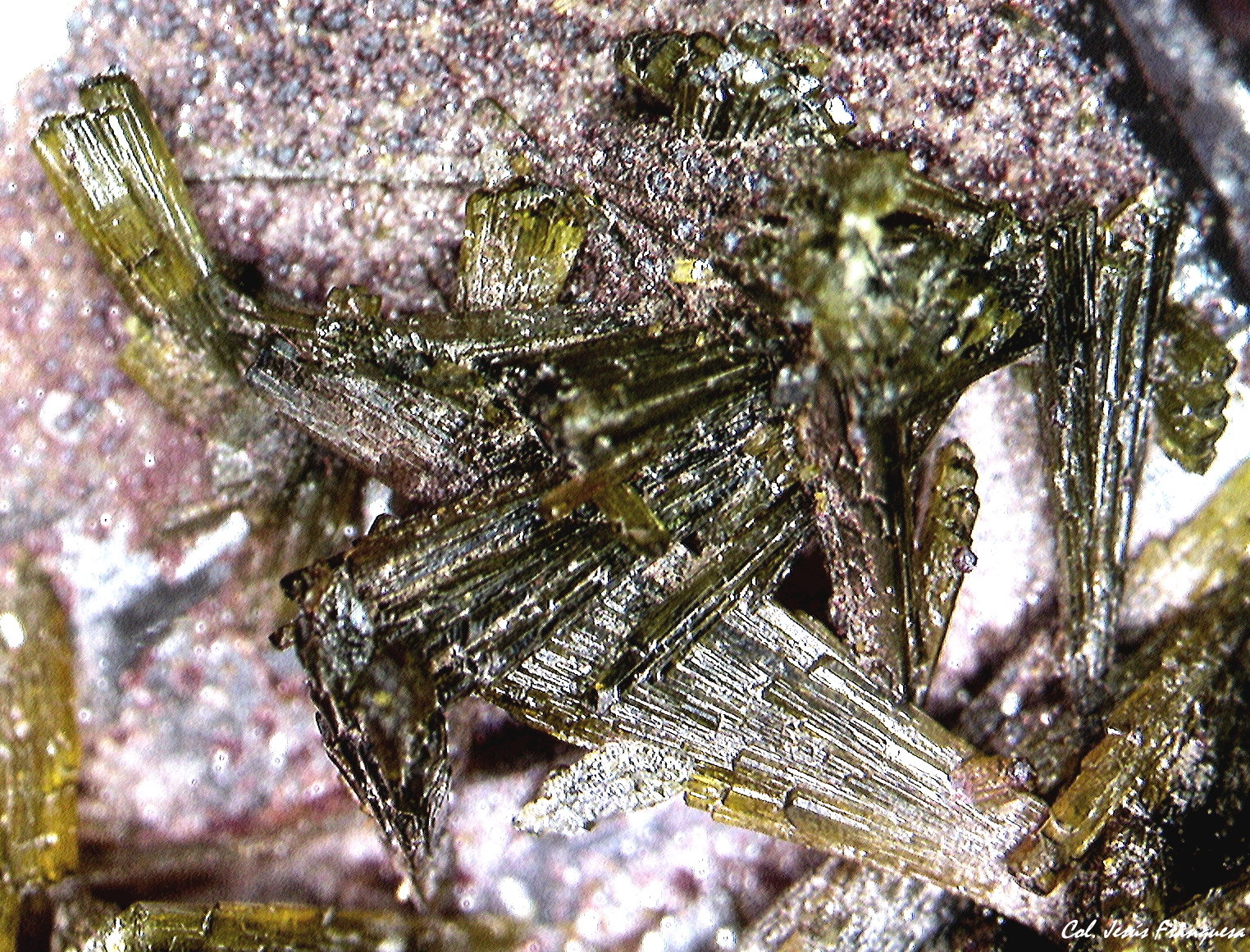 Epidota.
3´793 x 2´992 mm.
(Autor: Jesus Franquesa Baucells)