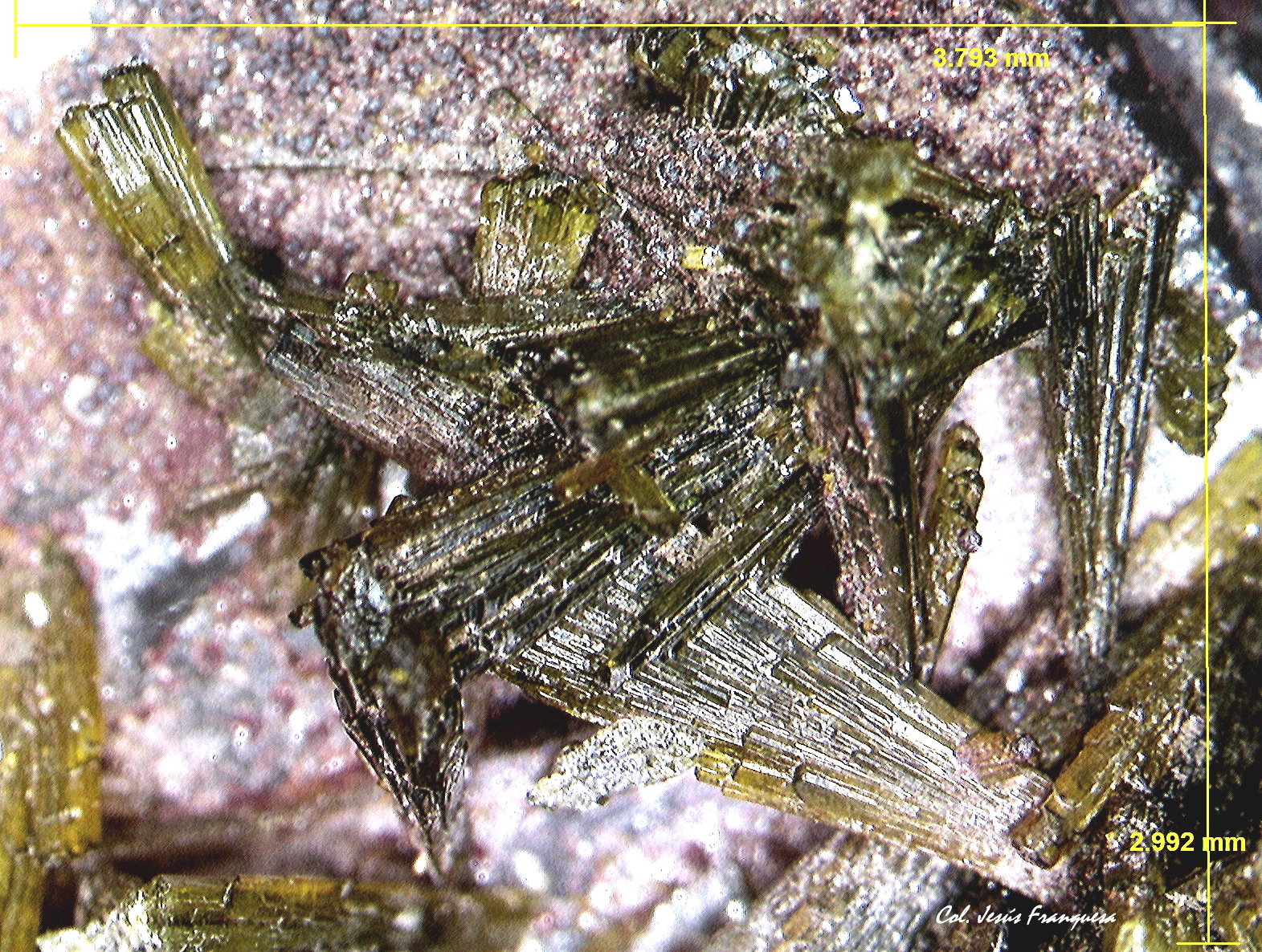 Epidota.
3´793 x 2´992 mm.
(Autor: Jesus Franquesa Baucells)