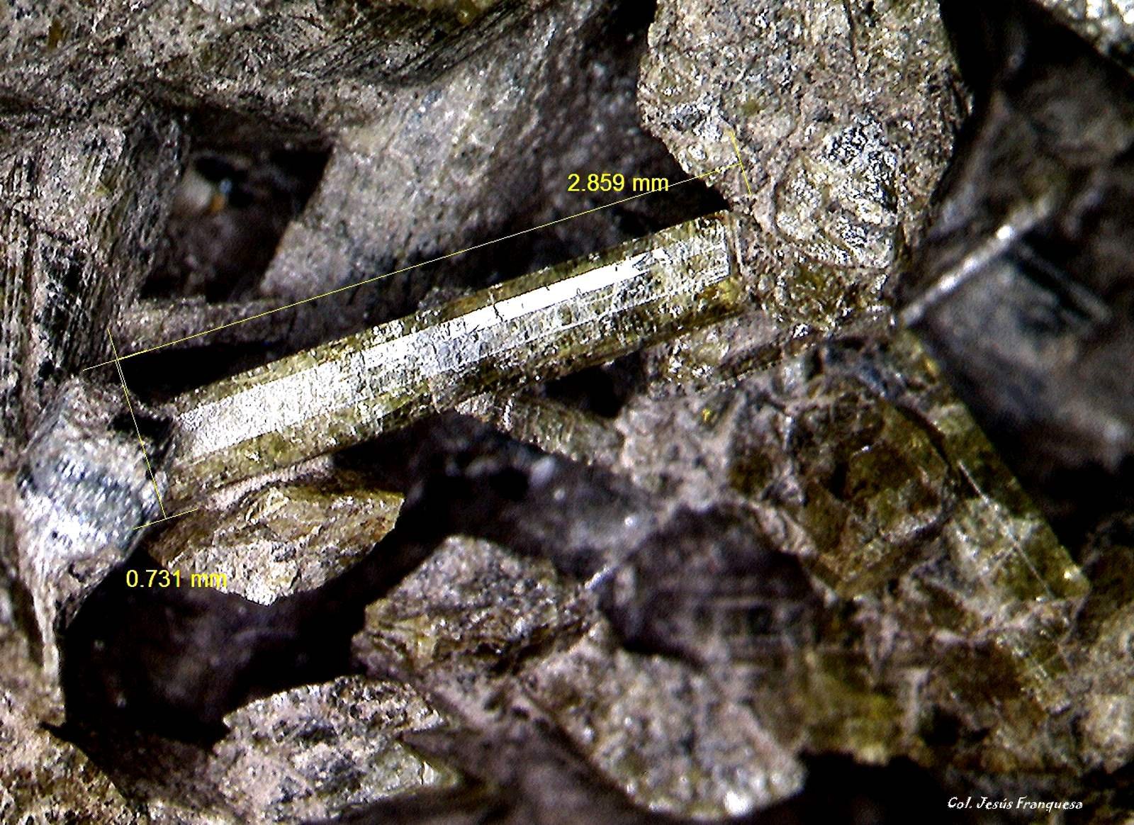 Epidota.
2´859 x 0´731 mm.
(Autor: Jesus Franquesa Baucells)