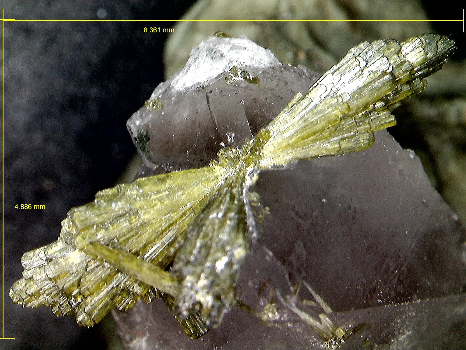 Epidota y Cuarzo.
8´361 x 4´886 mm.
(Autor: Jesus Franquesa Baucells)