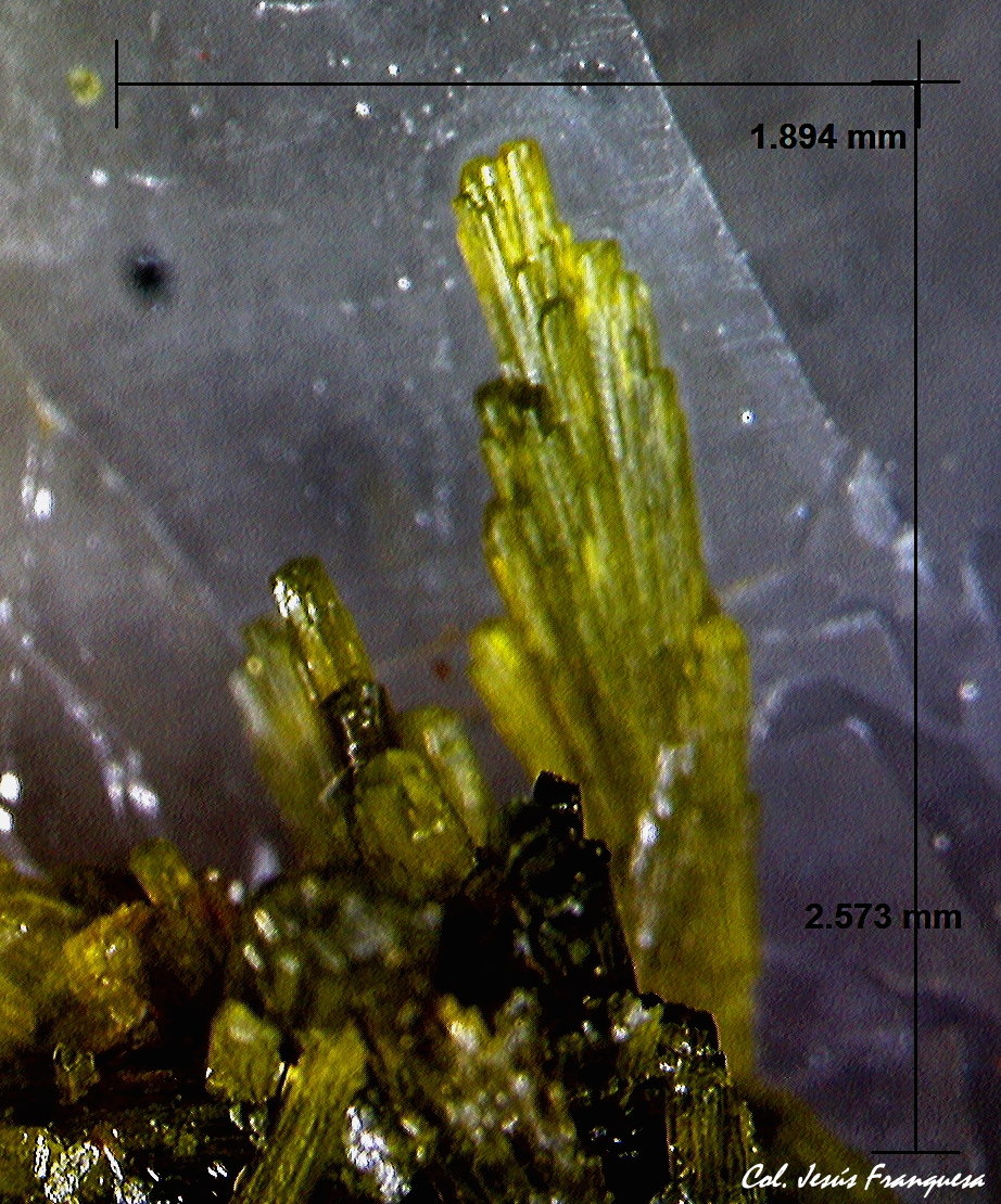 Epidota.
2´573 x 1´894 mm.
(Autor: Jesus Franquesa Baucells)
