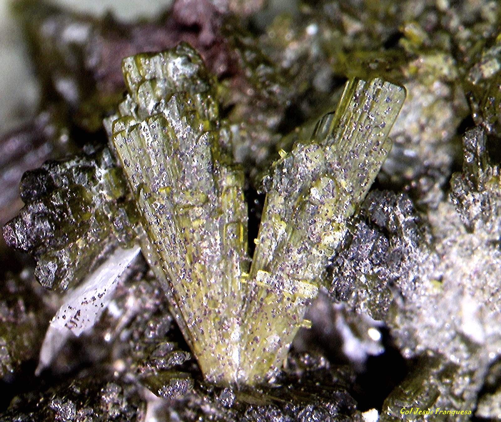 Epidota y Hematites.
6´125 x 4´595 mm.
(Autor: Jesus Franquesa Baucells)
