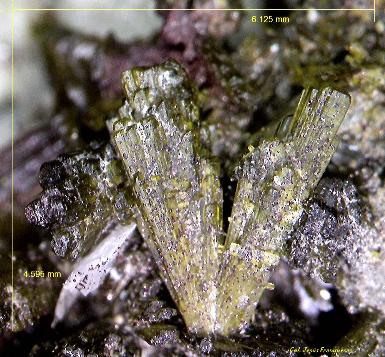 Epidota y Hematites.
6´125 x 4´595 mm.
(Autor: Jesus Franquesa Baucells)