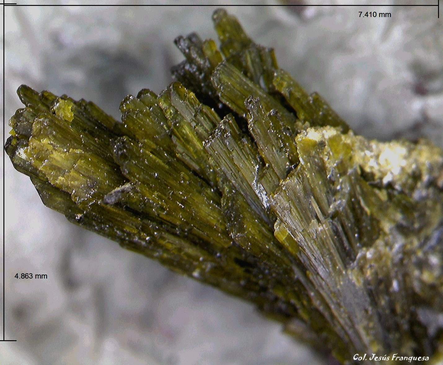 Epidota y Cuarzo.
7´410 x 4´863 mm.
(Autor: Jesus Franquesa Baucells)