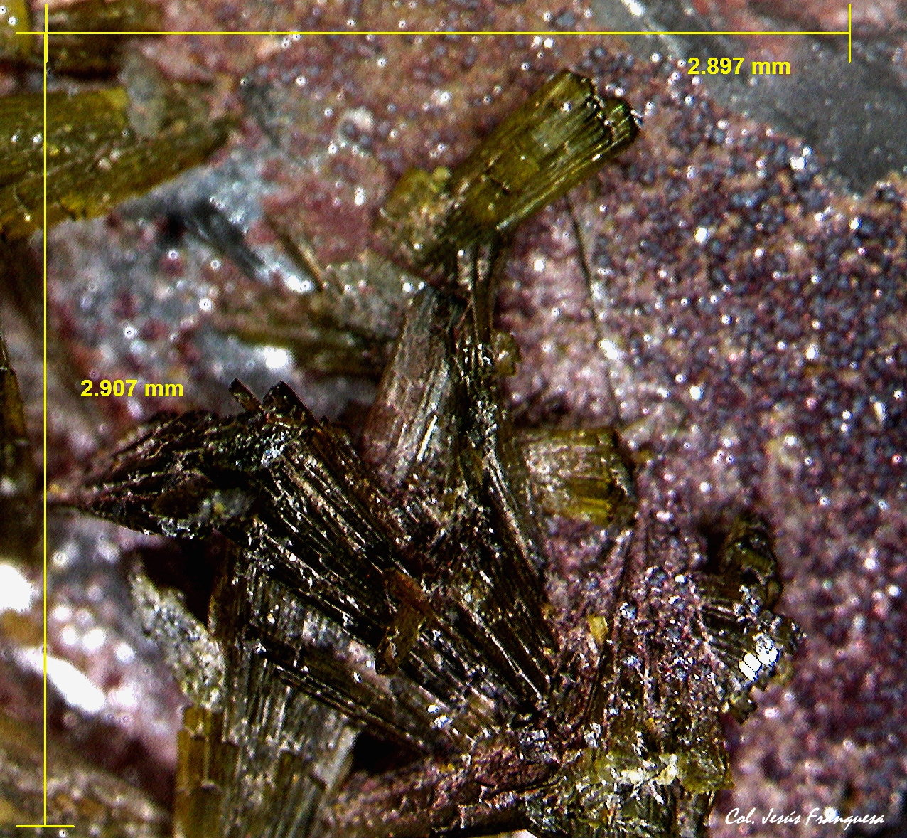 Epidota.
2´907 x 2´897 mm.
(Autor: Jesus Franquesa Baucells)