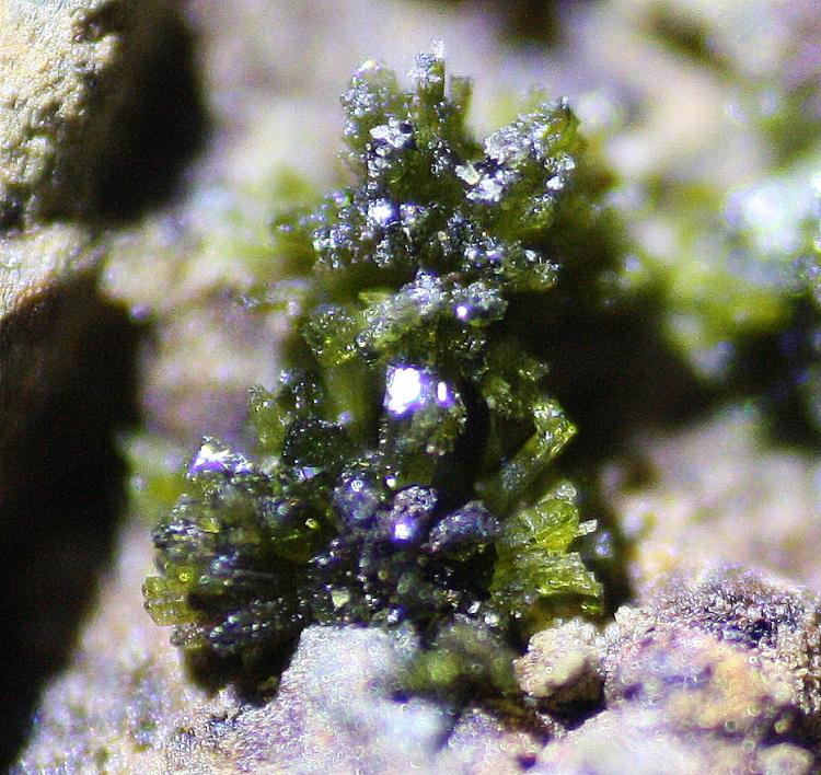 Epidota
1 mm
(Autor: canada)