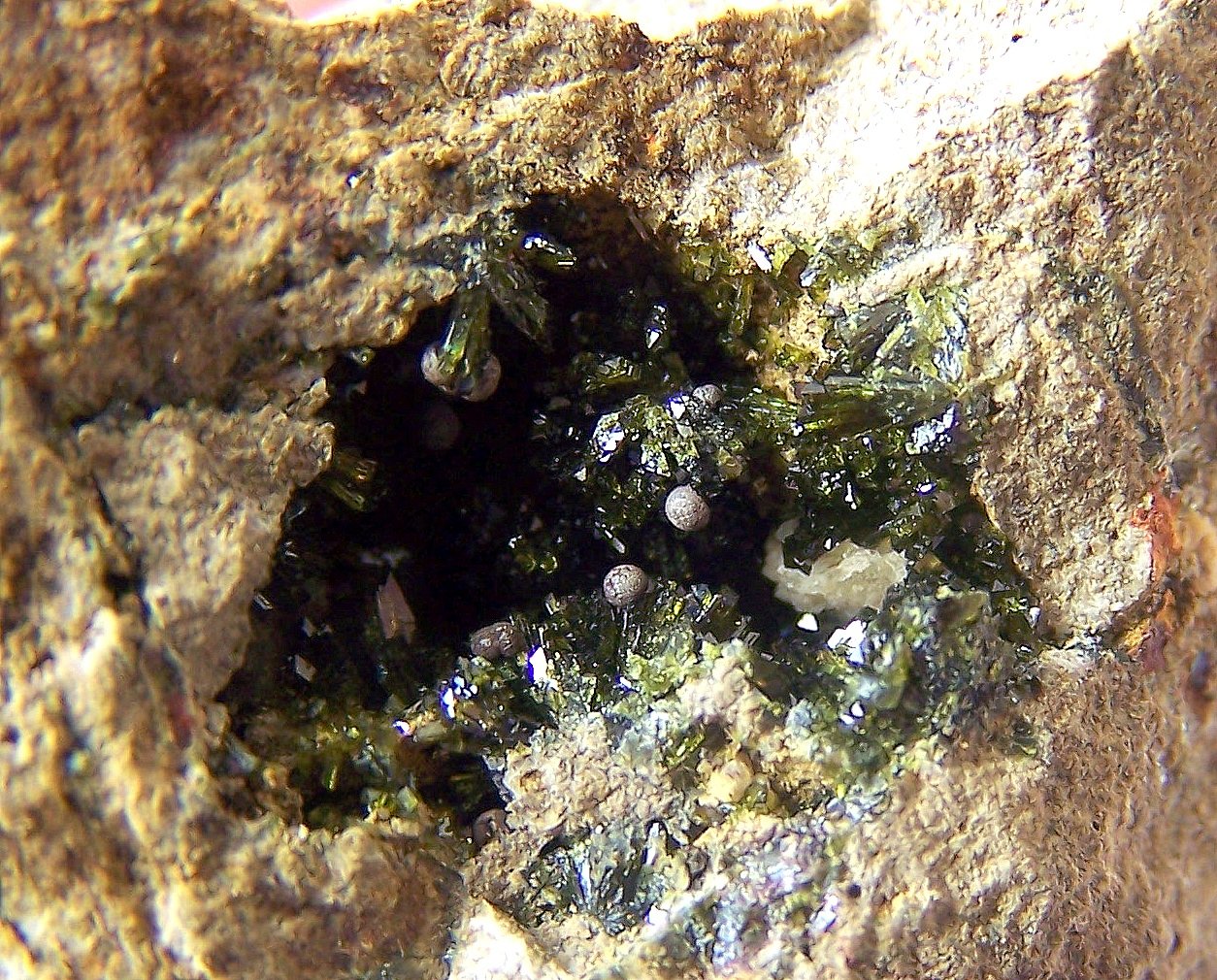 Epidota
8cm por 5,5cm
(Autor: canada)