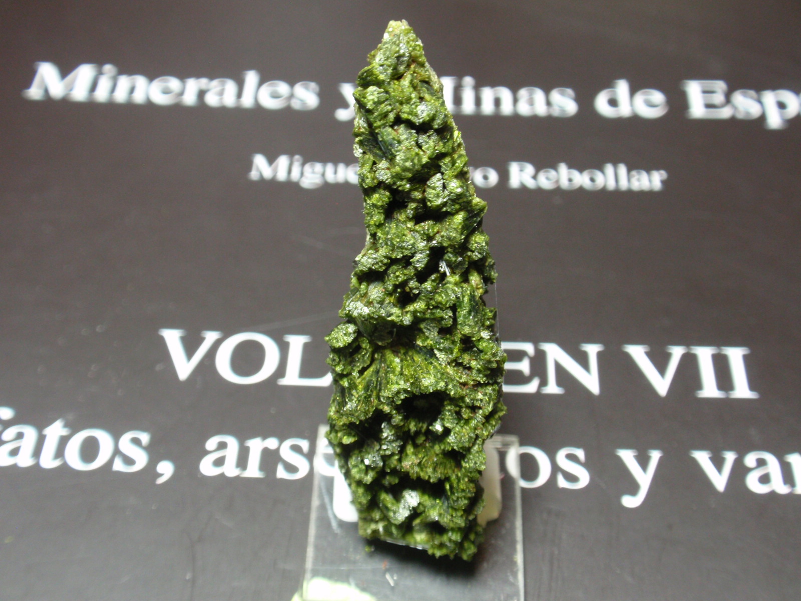 Epidota
15x50 mm
(Autor: Ignacio)