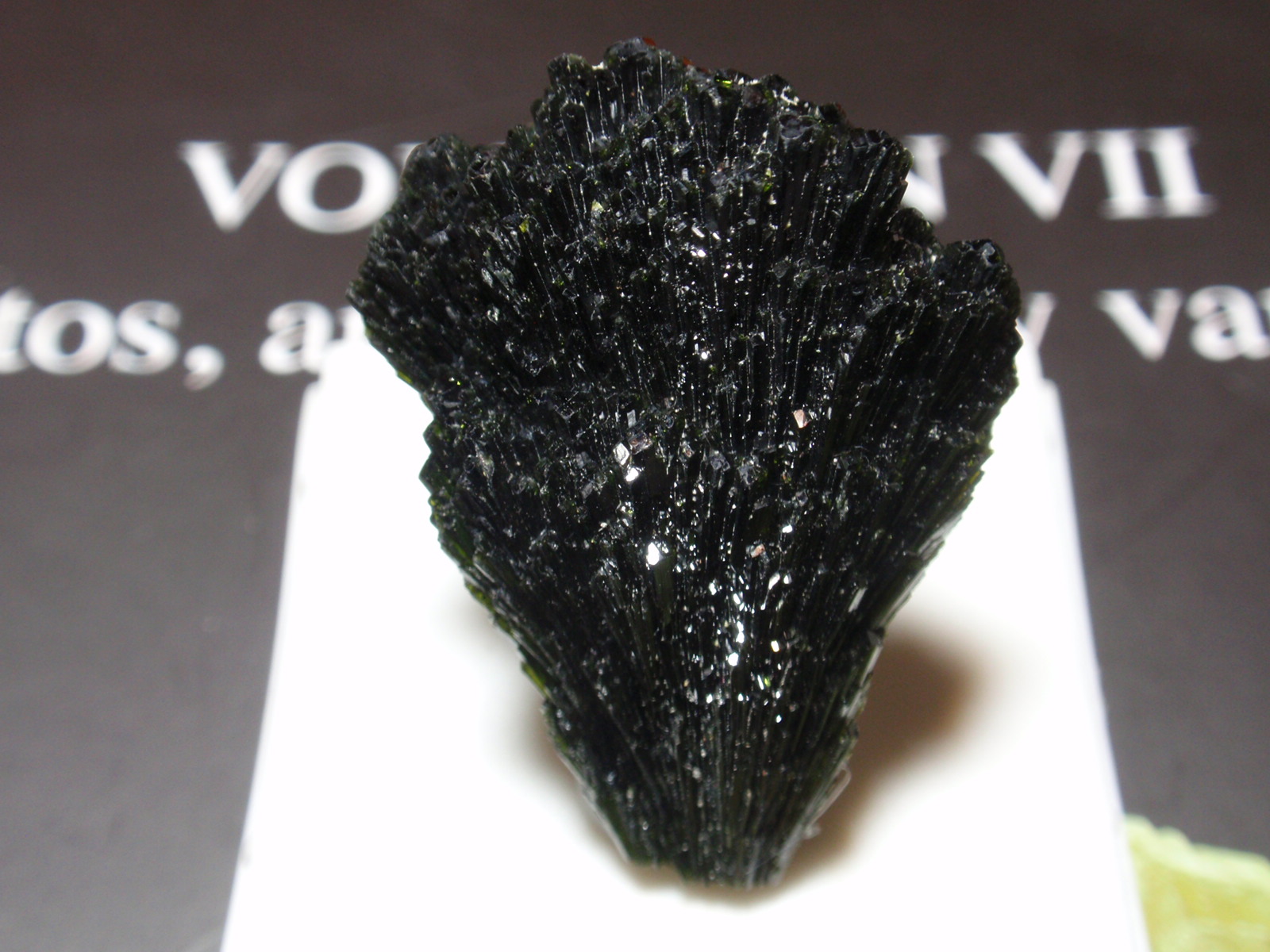 Epidota
25x30  mm
(Autor: Ignacio)