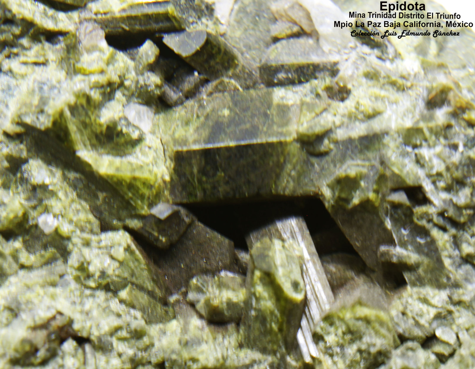 Epidota
10x8x4.5 cm
(Autor: Luis Edmundo Sánchez Roja)