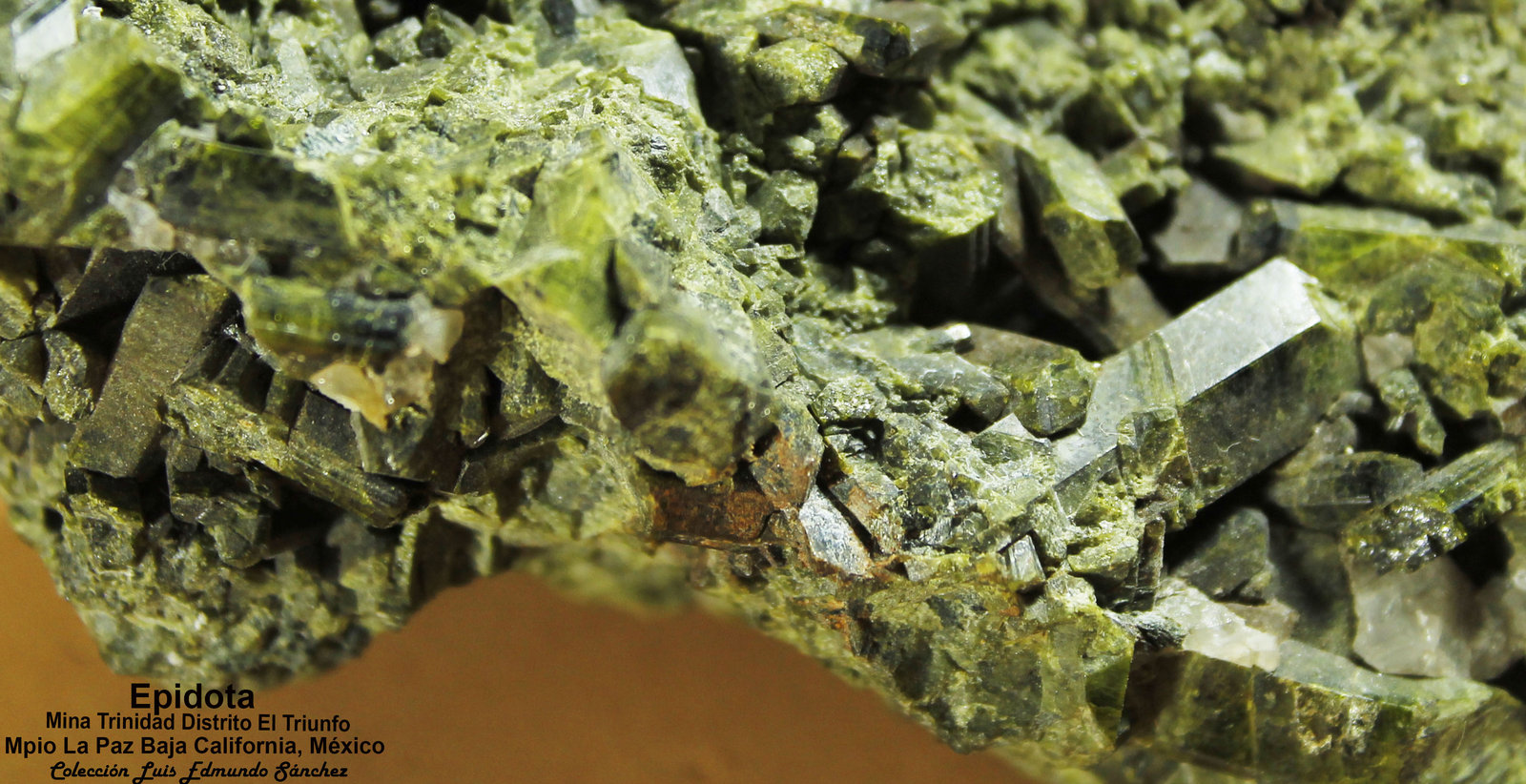 Epidota
10x8x4.5 cm
(Autor: Luis Edmundo Sánchez Roja)