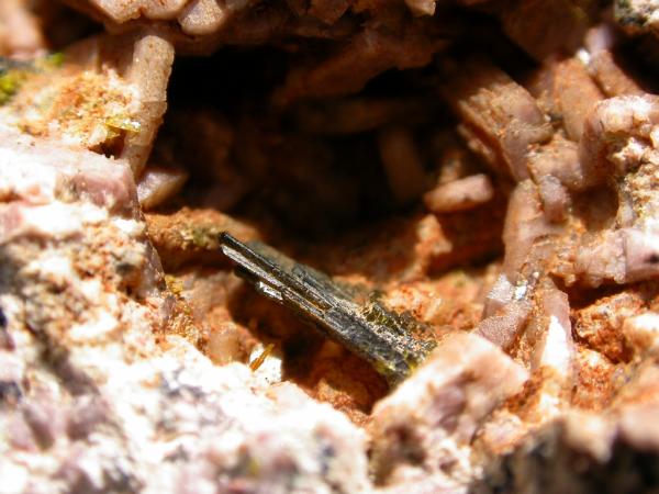Clinozoisita.
Cristal de 1 cm
(Autor: Adrian Pesudo)