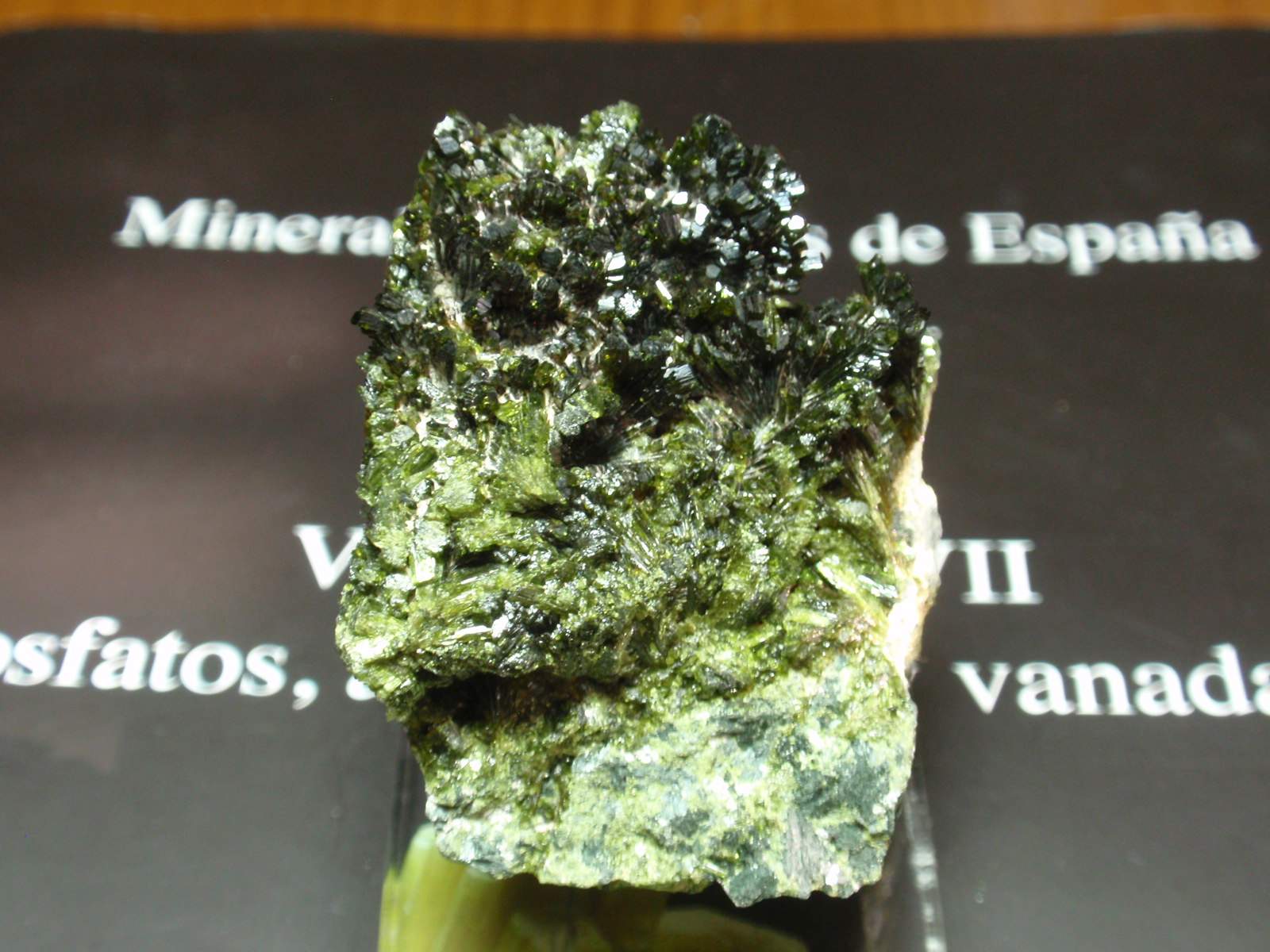 Epidota
35x50 mm
(Autor: Ignacio)