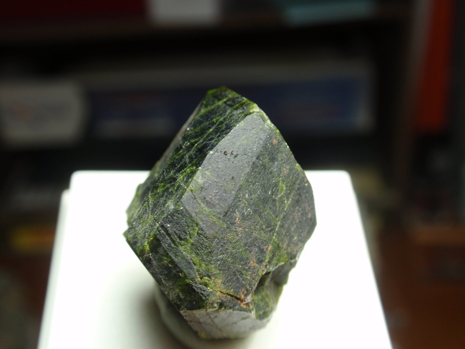 Epidota
20x25 mm
(Autor: Ignacio)