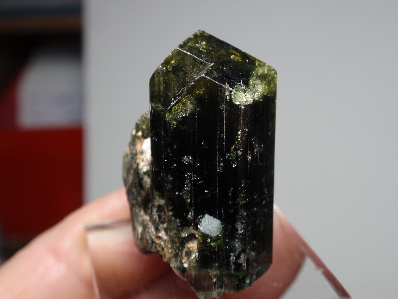 Epidota
15x35 mm
(Autor: Ignacio)
