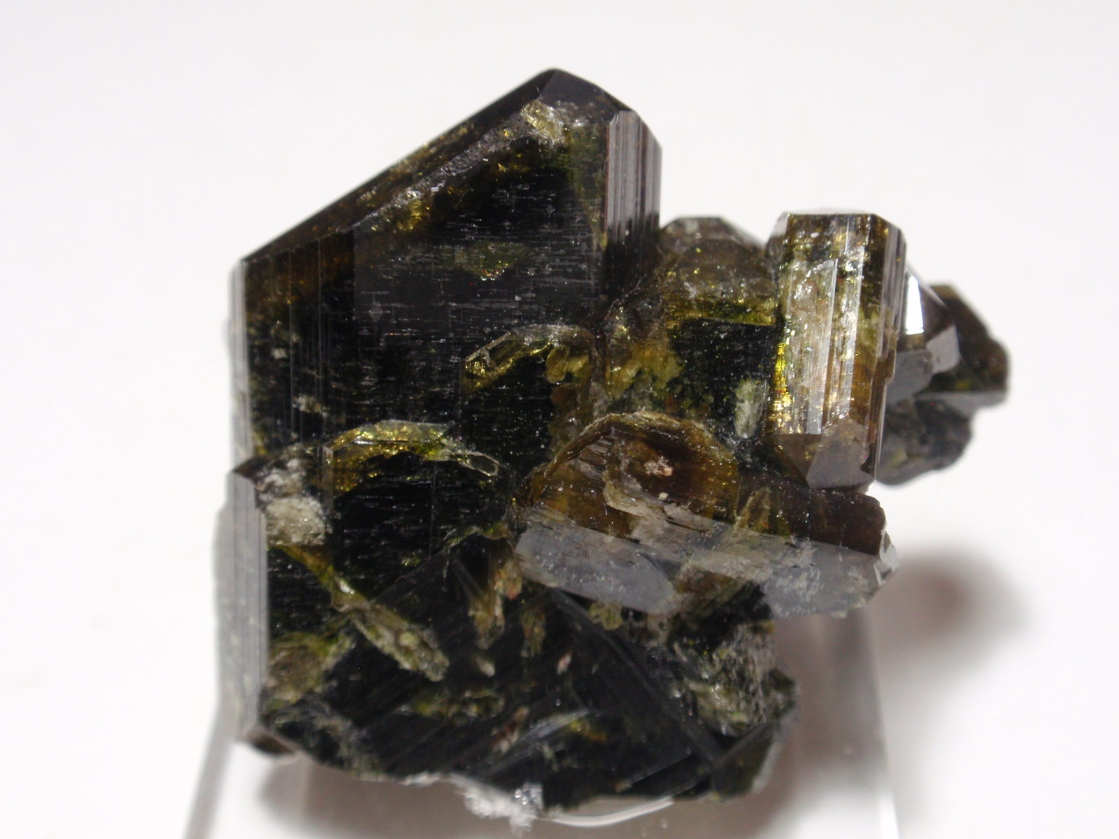 Epidota
30x30 mm
(Autor: Ignacio)