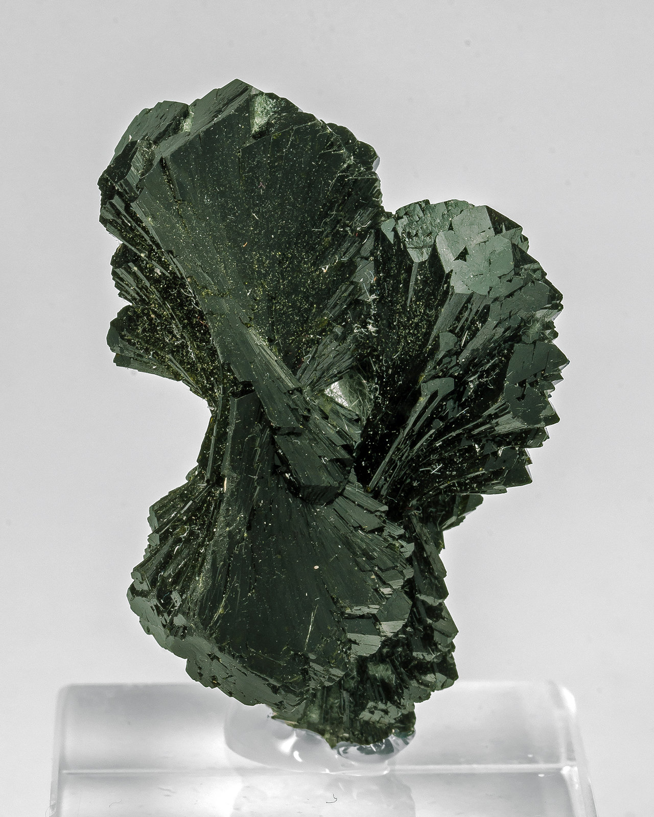 Epidota
4 × 2.5 × 2.1 cm
(Autor: Jordi Fabre)
