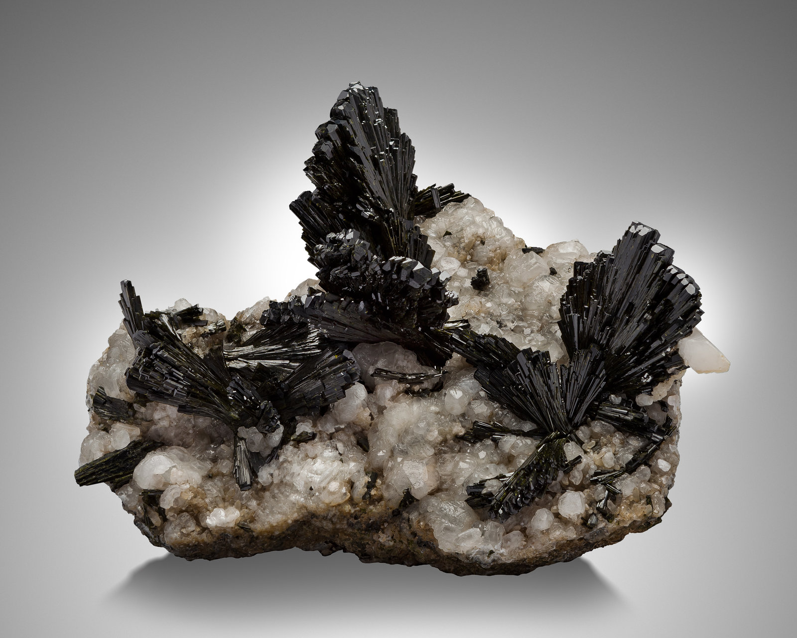 Epidota con Calcita
24 x 19 x 12 cm / cristal principal: 6.4 cm
(Autor: Museo MIM)