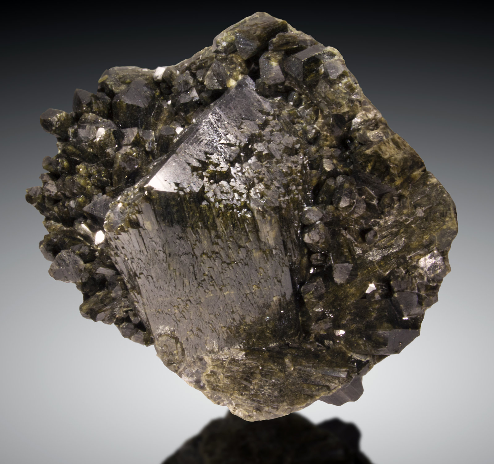 Epidota
17 x 14cm, cristal de 8cm
(Autor: Raul Vancouver)
