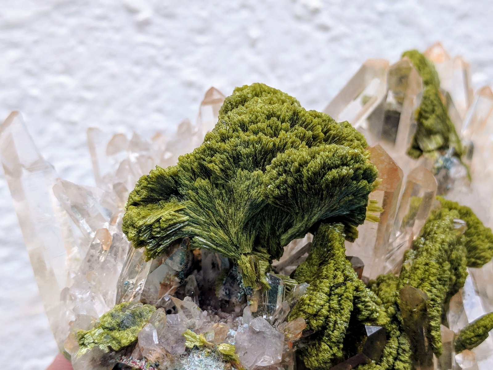 Epidota, Cuarzo
9,3 x 8,5 x 4,7 cm
(Autor: carles)