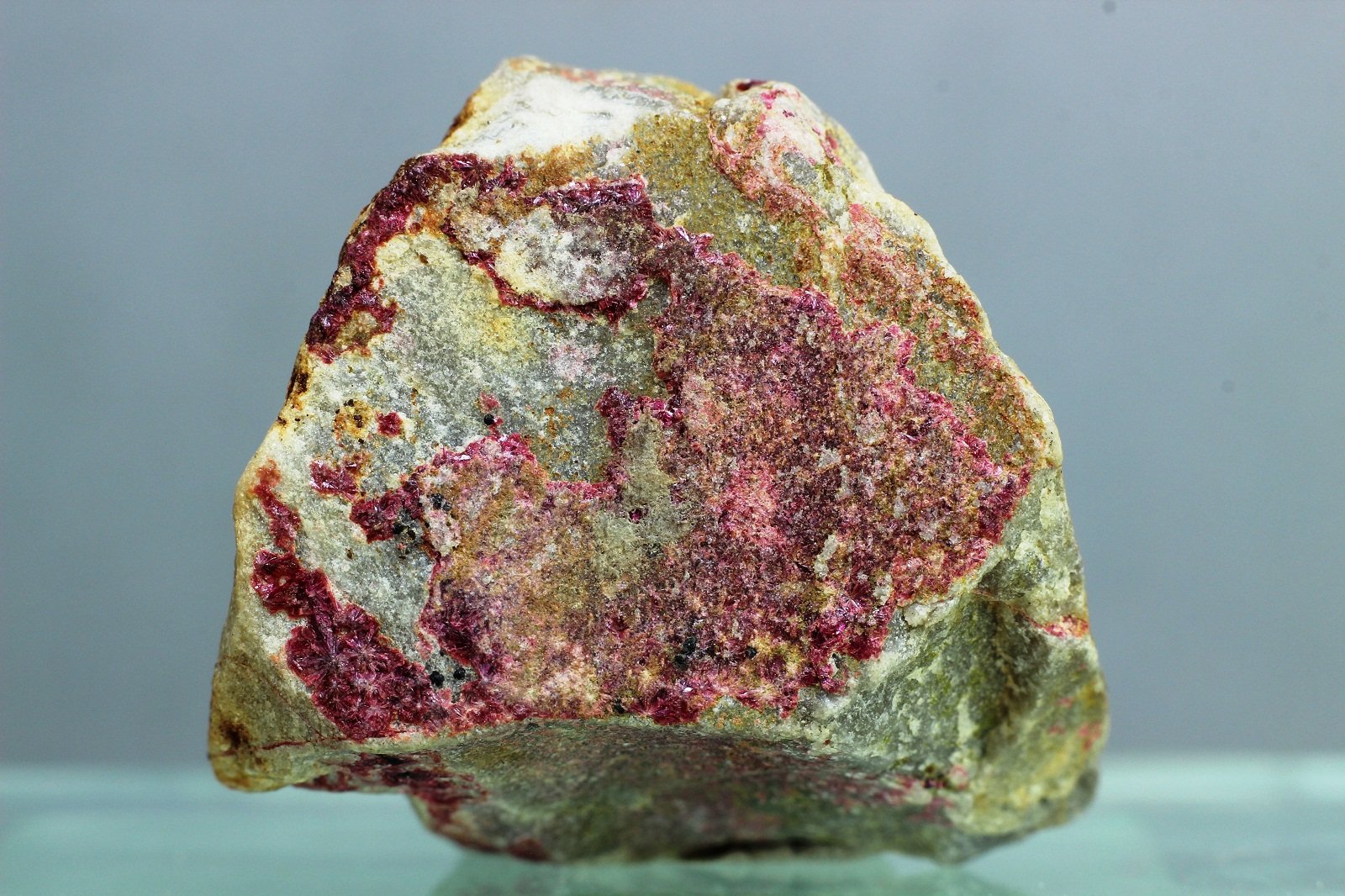 Eritrina
27x27 mm
(Autor: Juan Espino)
