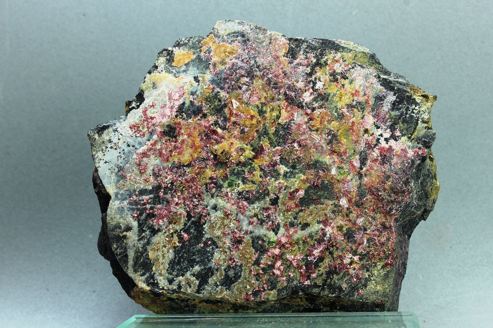 Eritrina
90x80 mm
(Autor: Juan Espino)