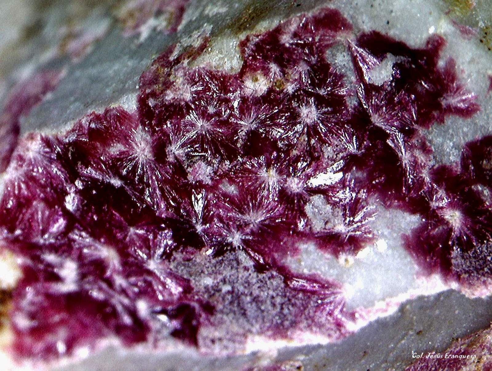 Eritrita (Eritrina).
3´1 x 2´7 mm.
(Autor: Jesus Franquesa Baucells)