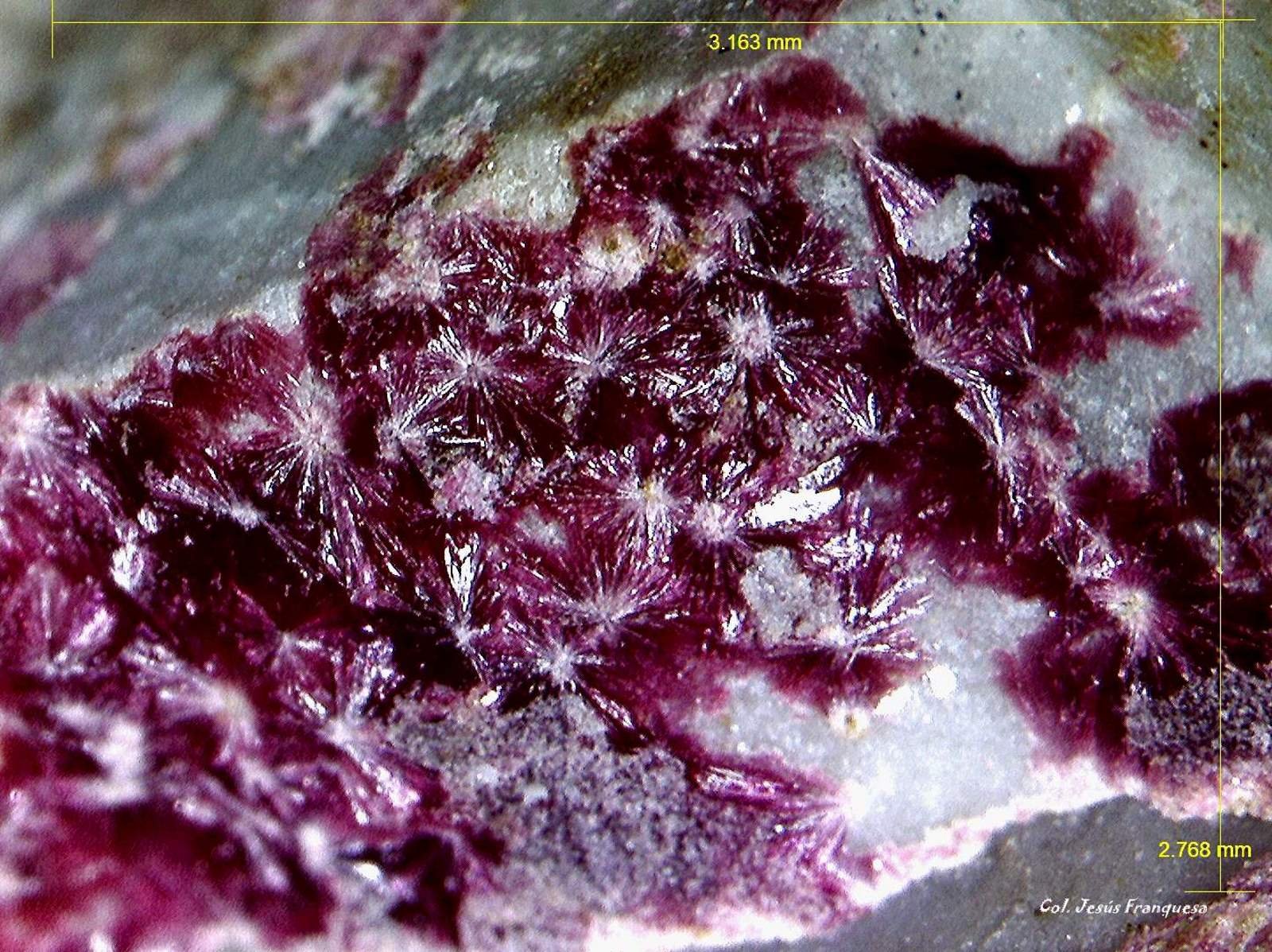 Eritrita (Eritrina).
3´1 x 2´7 mm.
(Autor: Jesus Franquesa Baucells)