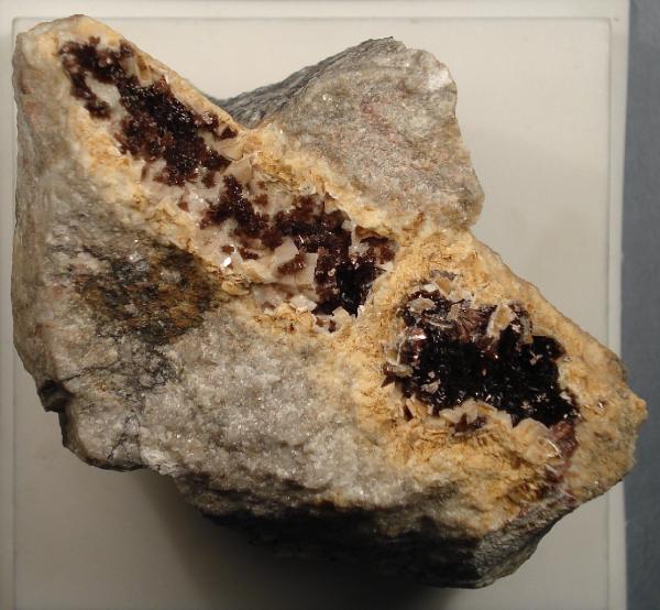 Eritrina
6 x 5 cm.
(Autor: Echevarria)