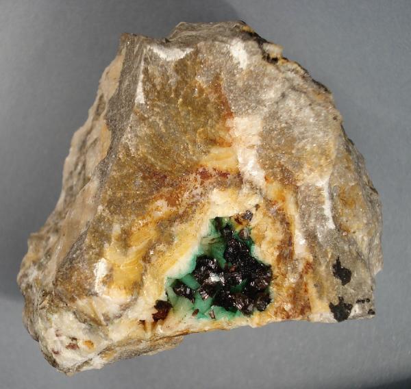 Eritrina
6 x 6 cm.
(Autor: Echevarria)
