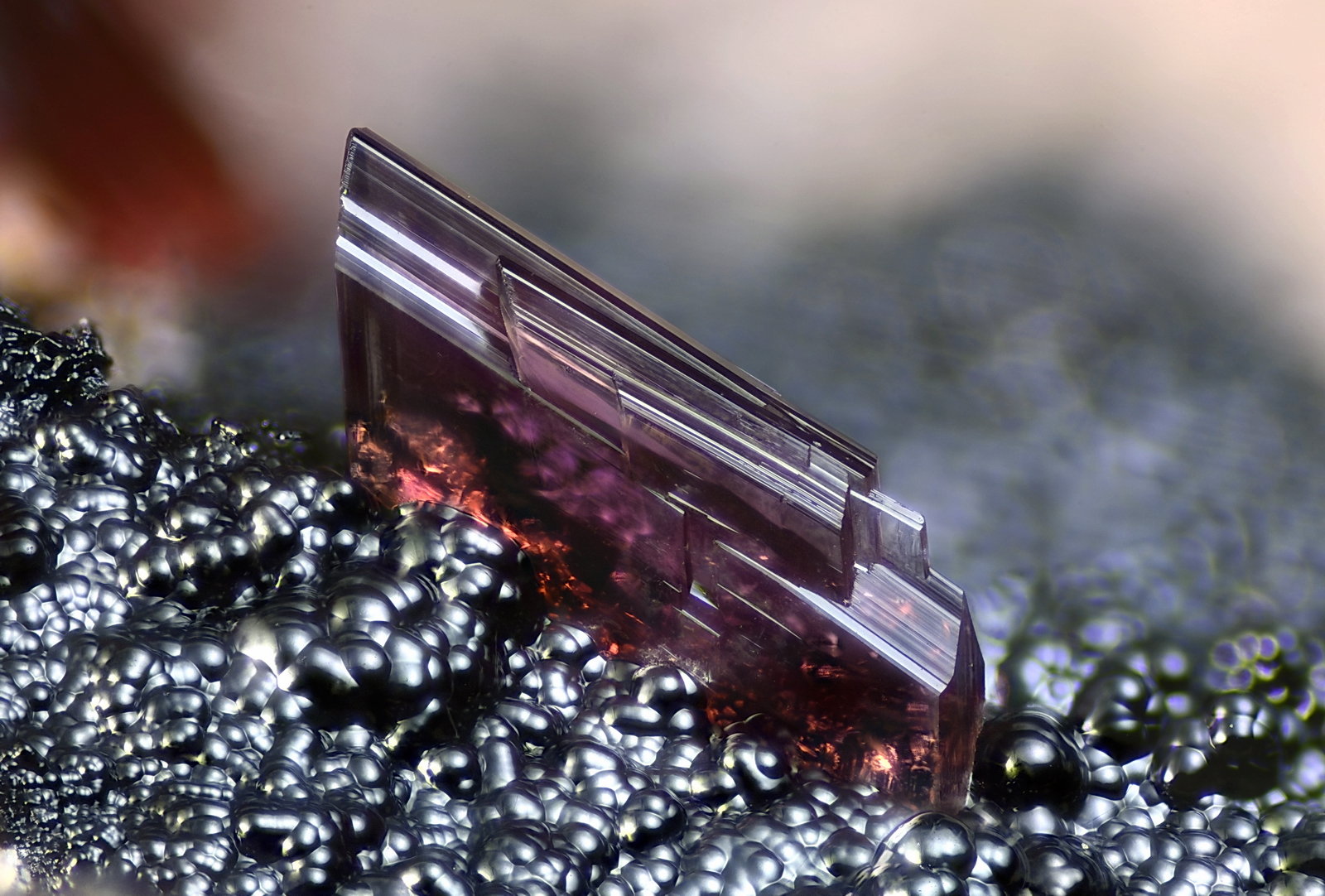 Eritrina, Goethita
Campo de visión 2 mm.
(Autor: Juan Miguel)
