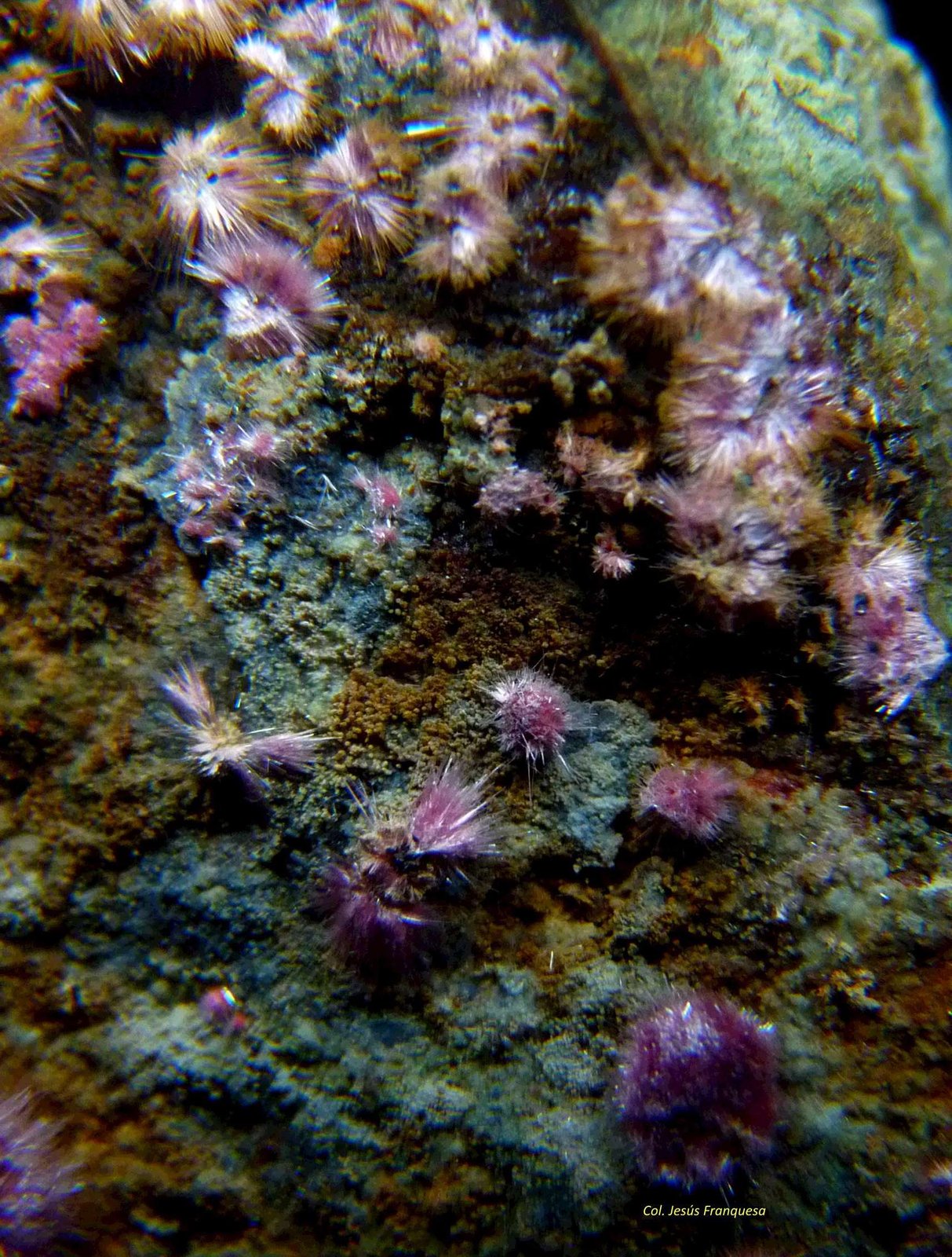 Eritrita
70x50 mm
(Autor: Jesus Franquesa Baucells)