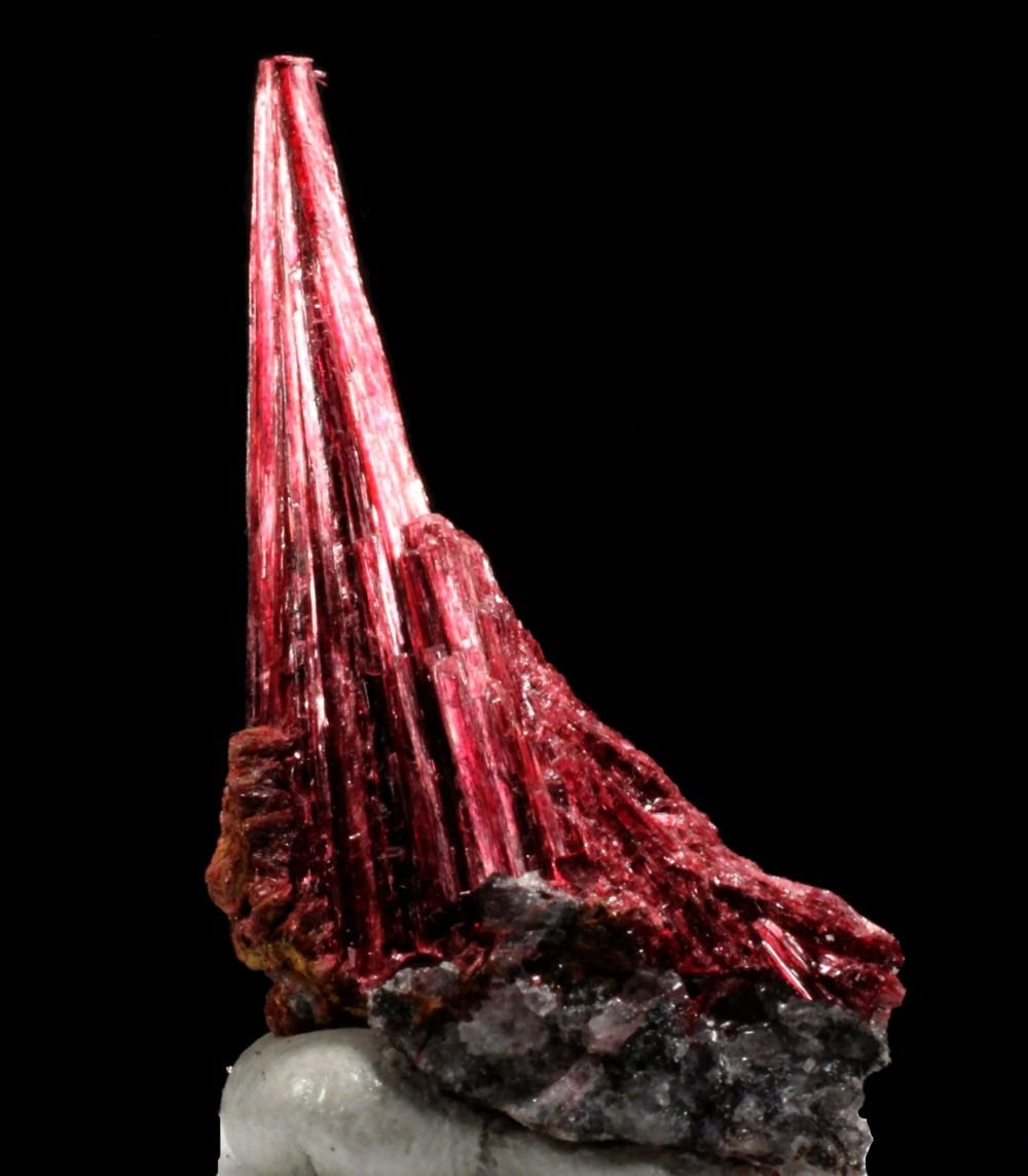 Eritrina
33 x 19 x 10 mm.
(Autor: José Luis Zamora)