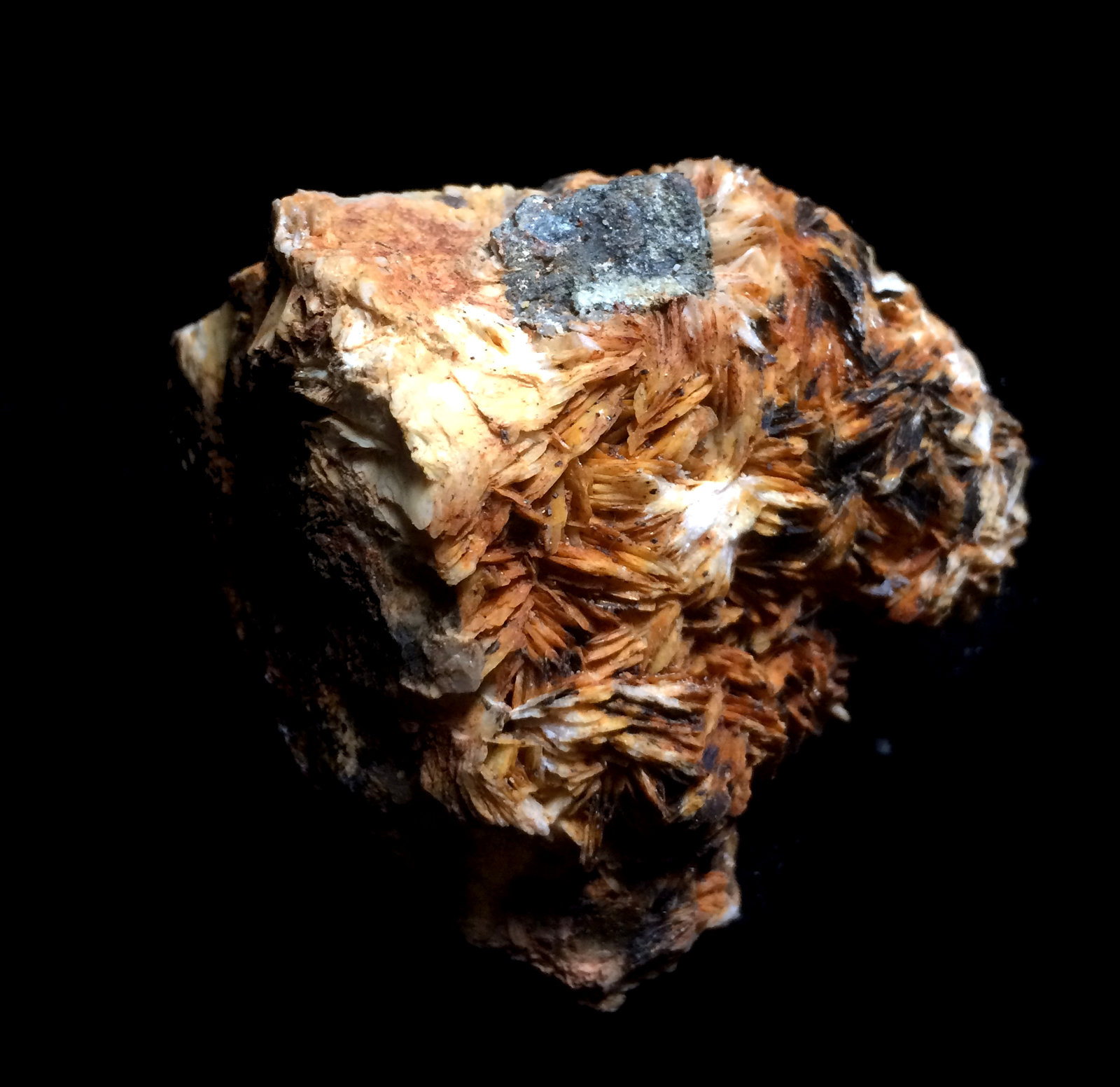 Barita, Galena
7x6cm
(Autor: Obsi)