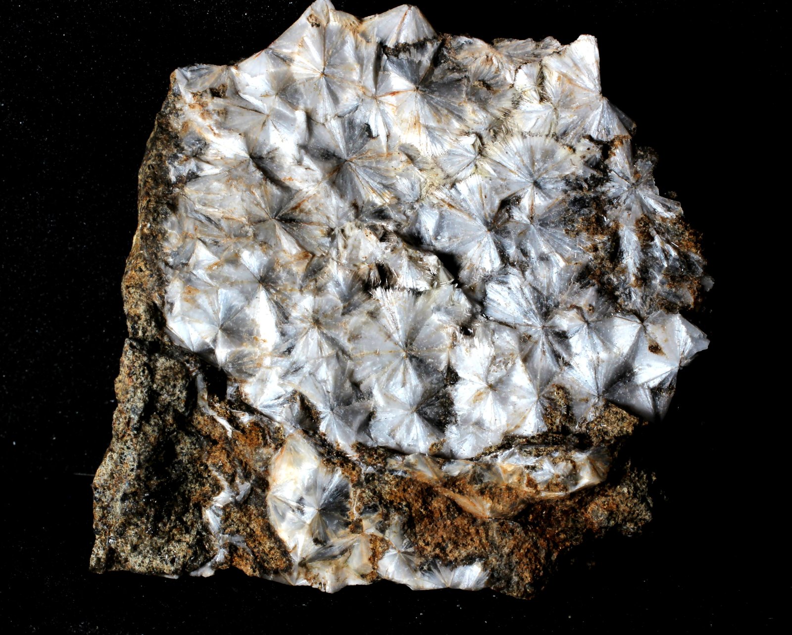 Escolecita
62 x 47 x 22 mm
(Autor: José Luis Zamora)