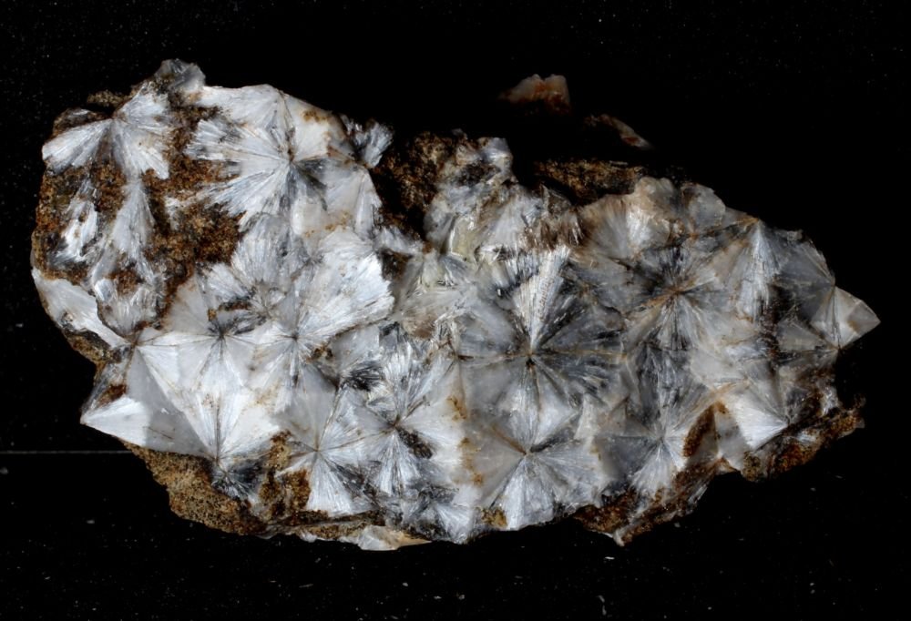Escolecita
50 x 30 x 15 mm
(Autor: José Luis Zamora)