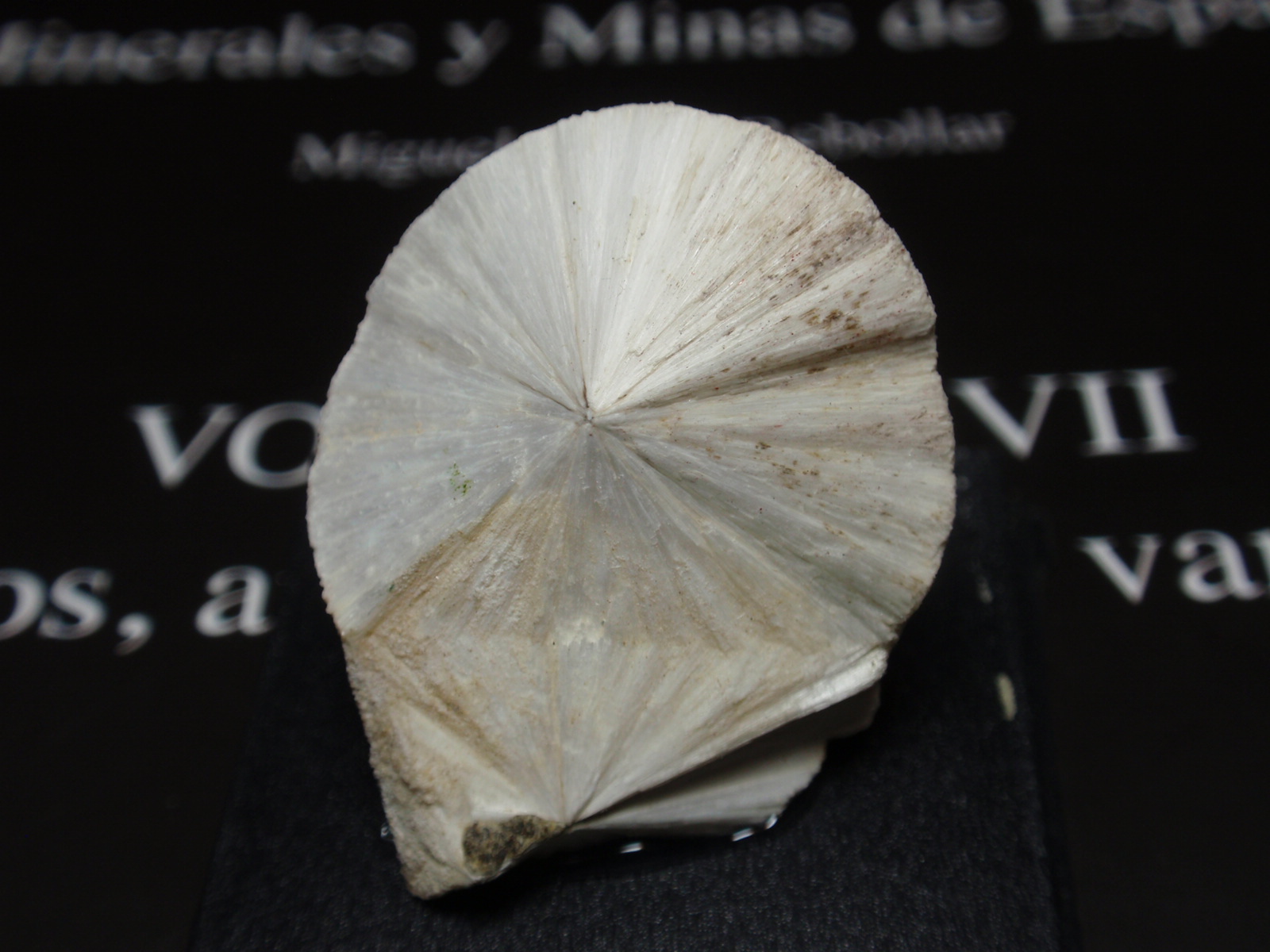 Escolecita
25x30 mm
(Autor: Ignacio)