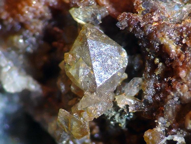 Escorodita
Cristal sobre 1mm
(Autor: Javier MC)