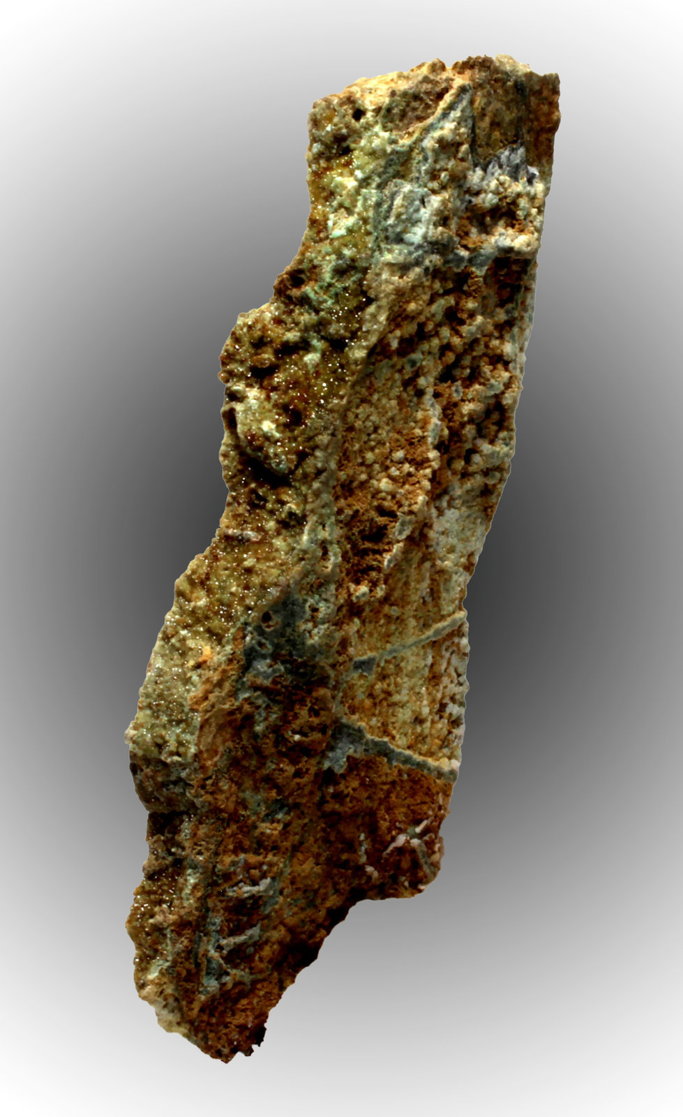 Escorodita
33 x 14 x 4 mm.
(Autor: José Luis Zamora)