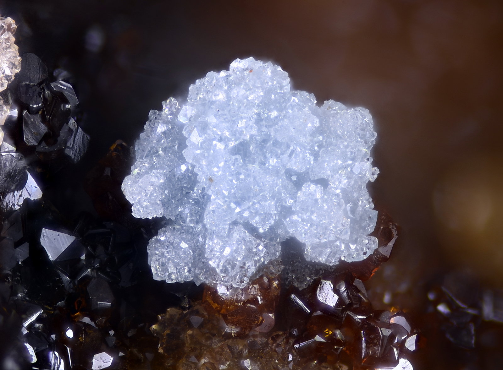 Escorodita
Campo de visión 2,2 mm.
(Autor: Juan Miguel)